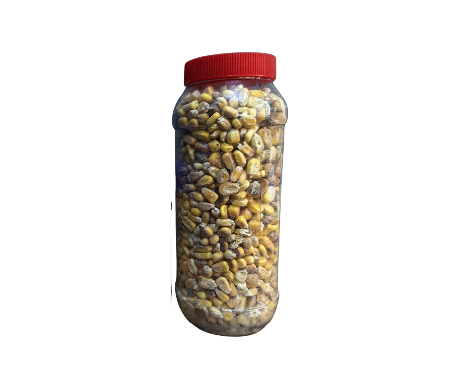 MAÍZ TOSTADO